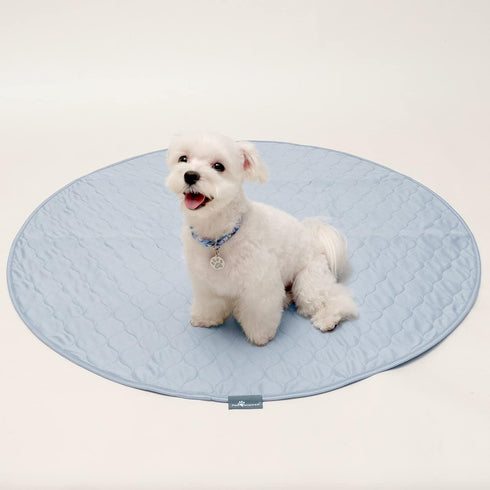 (2 Pack), (36 Inch, Pack 2) Paw Inspired Round Washable Pee Pads for Dogs Reusable Puppy Pads for Potty Training