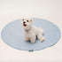(2 Pack), (36 Inch, Pack 2) Paw Inspired Round Washable Pee Pads for Dogs Reusable Puppy Pads for Potty Training