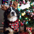 Promoted to Big Sister Red Plaid Dog Bandana, Gender Reveal Photo Prop for Pet Scarves
