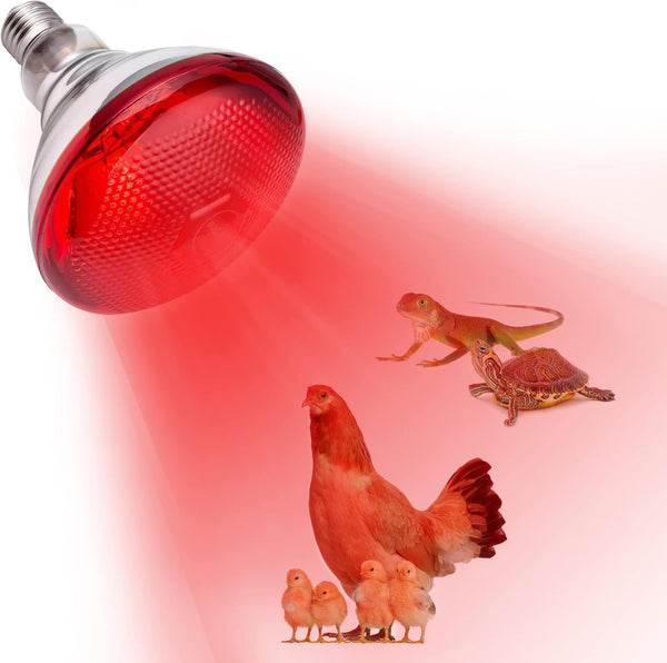 Heat Lamp for Chickens Coop Brooder and Reptile Heat Bulb 150 Watt