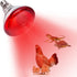 Heat Lamp for Chickens Coop Brooder and Reptile Heat Bulb 150 Watt