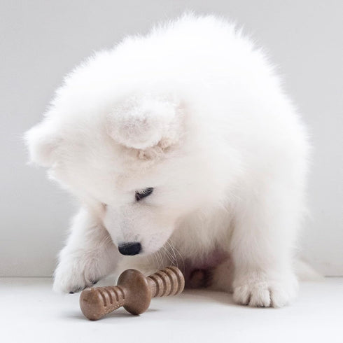 Benebone Puppy 2-Pack Maplestick/Zaggler Durable Dog Chew Toys for Gentle Chewers, Tiny, Made in USA