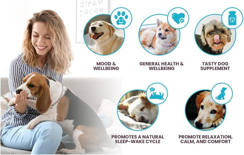 Multi-Formula Dog Supplement for Smaller Dogs - 90 Peanut Butter Chewable Tabs, 10mg HMR Lignans, 1mg Melatonin, 20mg