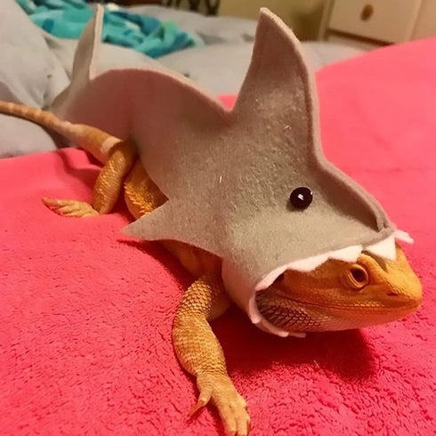 HAICHEN TEC Lizard Clothes - Shark Costume Outfit for Bearded Dragon, Handmade Apparel for Reptiles (M, Shark Costume)