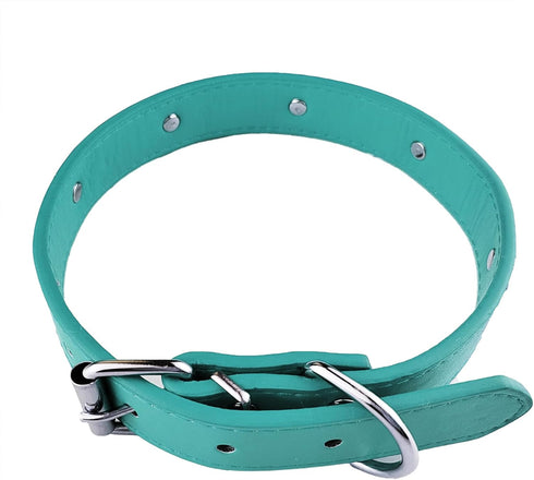 New Skull Dog Collar Skeleton Cat Collar Skull Design Pet Collar for Dogs and Cat Blue Small Fits for Neck Girth from 10" to 13"
