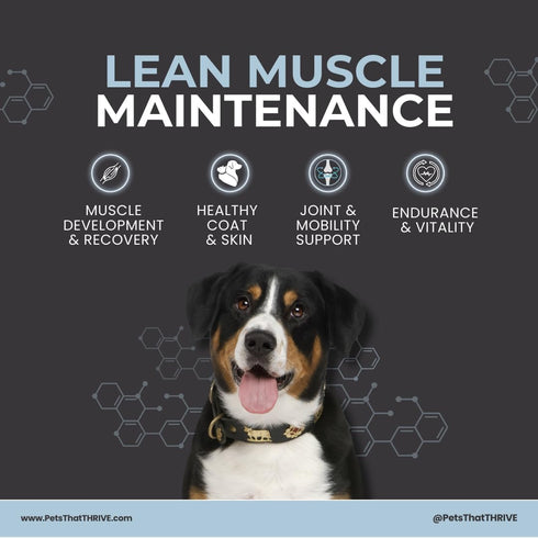 THRIVE Pet Nutrition 30 Count (4.8oz) Thrive Daily Amino Acids for Dogs Muscle Health, Recovery, Energy & Longevity