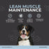 THRIVE Pet Nutrition 30 Count (4.8oz) Thrive Daily Amino Acids for Dogs Muscle Health, Recovery, Energy & Longevity