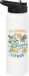 Souvenir Shirt California Citrus Sunshine Vintage Graphic Souvenir Stainless Steel Insulated Water Bottle