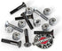Independent Genuine Parts Cross Bolts, Standard Phillips Skateboard Hardware, Black/Silver, 7/8"
