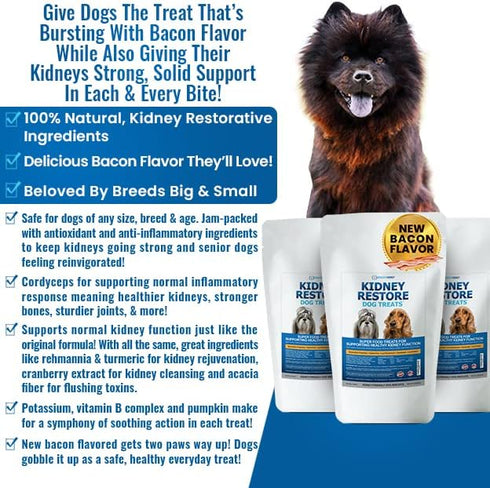 Kidney Restore Bacon Dog Treats, 8oz, Low Protein for Canine Kidney Support
