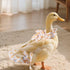 Magnoloran Chicken Diapers for Hens, Roosters, Diapers for Ducks with Walking Leash, Reusable Pet Duck Diapers Chick
