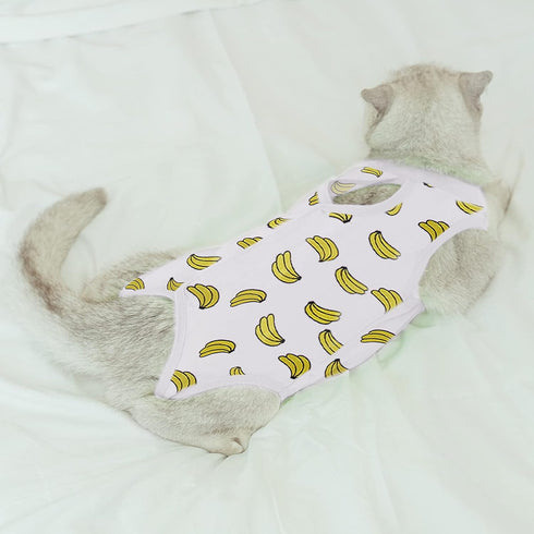 Cat Professional Surgical Recovery Suit - E-Collar Alternative for Cats and Dogs, After Surgery Pajama Suit for Pets