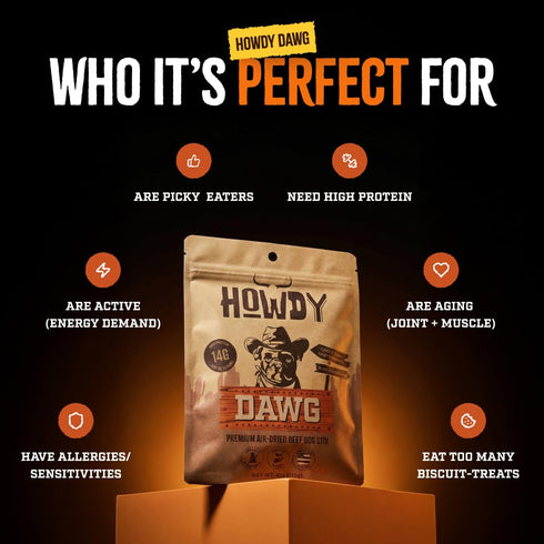 (4 Pack) Howdy Dawg Beef Sticks for Dogs Raw, Cured, Air Dried Beef Stick Treats w/Apple Cider Vinegar, Salt