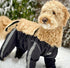 FouFou Dog Bodyguard Protective All-Weather Dog Pants, Small, Black