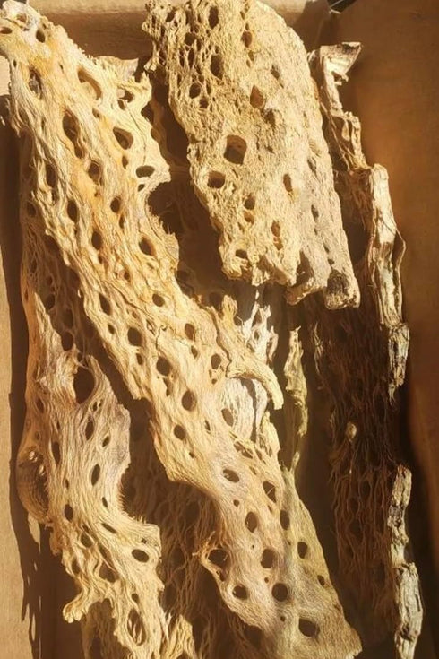 14x4x4 1 12", 10-15 Teddy Bear Cholla Wood Shards Natural Hermit Crab Treats & Habitat Enrichment for Reptiles, Fish