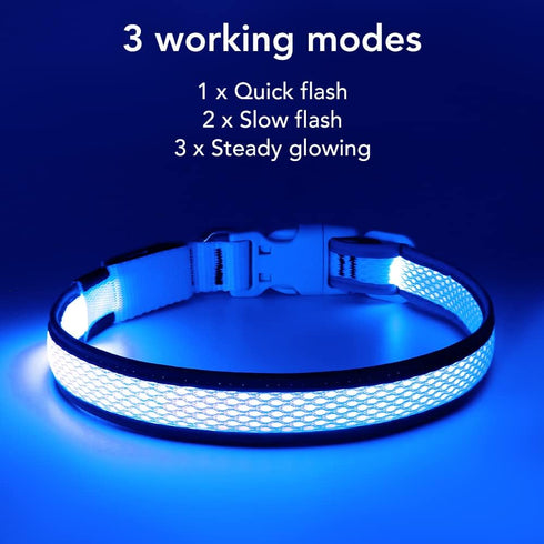BSEEN Light Up Dog Collar, Rechargeable LED, Adjustable Reflective Dog Lights for Night Walking