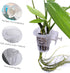 6Pcs Acrylic Aquarium Plant Holder, Top of Tank Aquatic Plant Cups for Fish Tank Decor