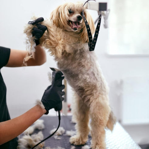 5FC Blade Dog Grooming Clipper Replacement Blades Compatible with Andis, Detachable Ceramic & Stainless Steel