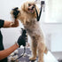 #40 Blades Dog Grooming Clipper Replacement Blades - Compatible with Andis/Wahl/Oster, Detachable Ceramic & Stainless