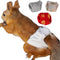 WCDJOMOP Reusable Washable Squirrel Diapers, Highly Absorbent with Strong & Flexible Pants No