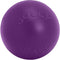 Jolly Pets Push-n-Play Ball Dog Toy - 10 Inches, Large, Purple