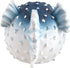 Underwater Treasures Blue Puffer Decoration
