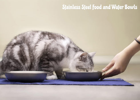 Stainless Steel Cat Bowls - Whisker Fatigue Relief Cat Food Dish, Metal Shallow Wide Plate for Pets