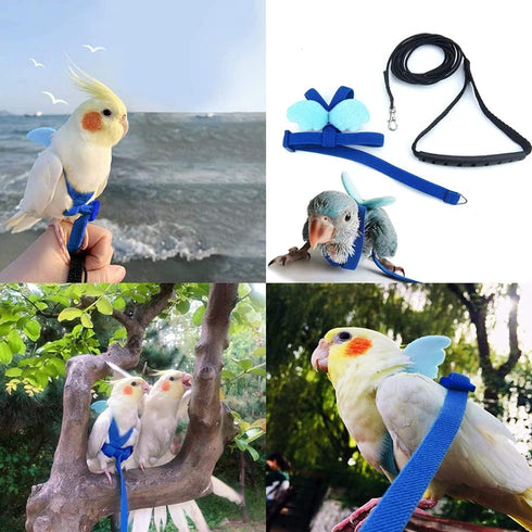 Birds Adjustable Harness and Leash, Parrot Outdoor Flying Training Traction Rope Straps with Cute Wing for Small Animal