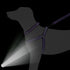 Mile High Life Night Reflective Double Adjustable Band Nylon Dog Combo Collar Leash and Harness Set, Purple, Large