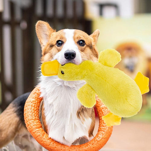 Mihachi Plush Squeaky Dog Duck Toys - Interactive Stuffed Pet Toy for Medium and Large Dogs