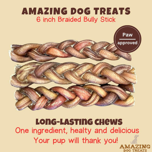 Amazing Dog Treats 6" Braided Bully Stick (10 Pcs/Pack) - Made from Premium Grass Fed Argentinian Beef