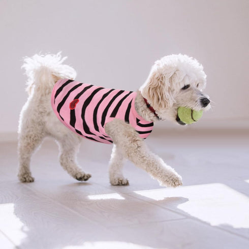 Queenmore Dogs Cats Cotton Vest, Striped T-Shirt, Soft Cool Sleeveless Vests for Small Medium and Large Dogs & Cats