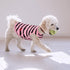 Queenmore Dogs Cats Cotton Vest, Striped T-Shirt, Soft Cool Sleeveless Vests for Small Medium and Large Dogs & Cats