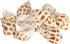 Hermit Crab Shells | Turbo Shells | 12 Babylonia Aerolata Turbo Shells