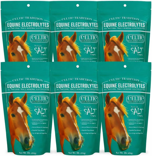 1 lb Celtic Tradition Equine Electrolytes Natural Mineral Salt Supplement for Horses | Replenishes Electrolytes