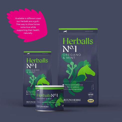 Hilton Herbs 1.1 lb Herballs All Natural Horse Treat with Oregano and Mint