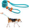 Slip Leads for Dogs, 5 FT Lightweight Rope Leash for Medium Dogs, No Pull Training Leash, Quick Put On and Take Off