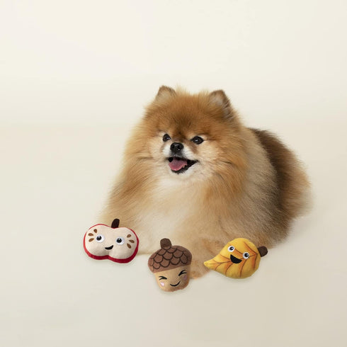Fringe Studio Plush Dog Toy, Falling for You, 3 Piece Set from Pet Shop Collection (289540)