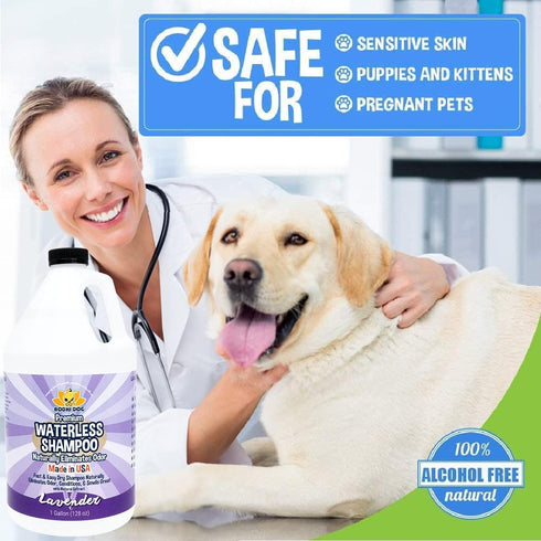Bodhi Dog Waterless Shampoo | Natural Dry Shampoo for Dogs or Cats | Neutralizes Pet Odor | No Rinse Required | Vet