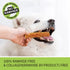 Chicken Dog Chew Sticks, Puffed Human Grade Dog Treat Sticks, Rawhide Alternative, Easy to Digest, 10pcs/Pack