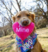 Midlee Candy Heart Valentine's Dog Toy, Set of 4 Large Plush Squeaky Toys