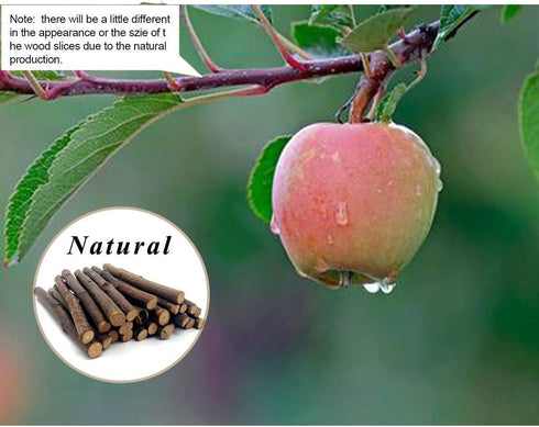 William Craft Apple Sticks - Pet Chew Toys Treats for Chinchilla, Guinea Pigs, Rabbits, Squirrel, Hamster, Bunny