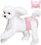 Ambreview Disposable Dog Diapers Female, Just Pull It Up, Doggie Diapers for