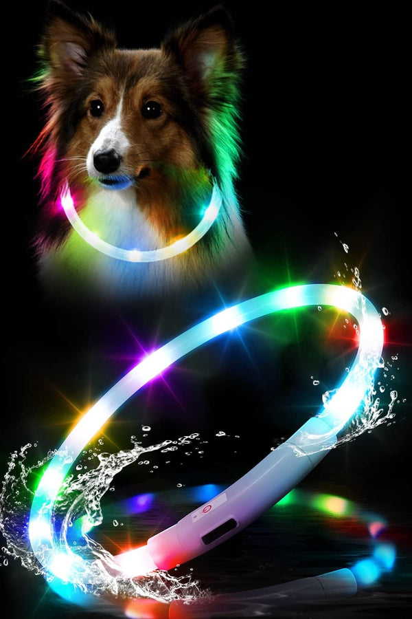 Waterproof LED Dog Collar, USB Rechargeable Light Up Collars for Night Walking, Safety Training for Small to Large Dogs