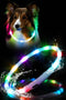 Waterproof LED Dog Collar, USB Rechargeable Light Up Collars for Night Walking, Safety Training for Small to Large Dogs