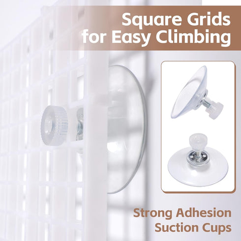 Hermit Crab Climbing Ladder & Wall Decor for Aquariums