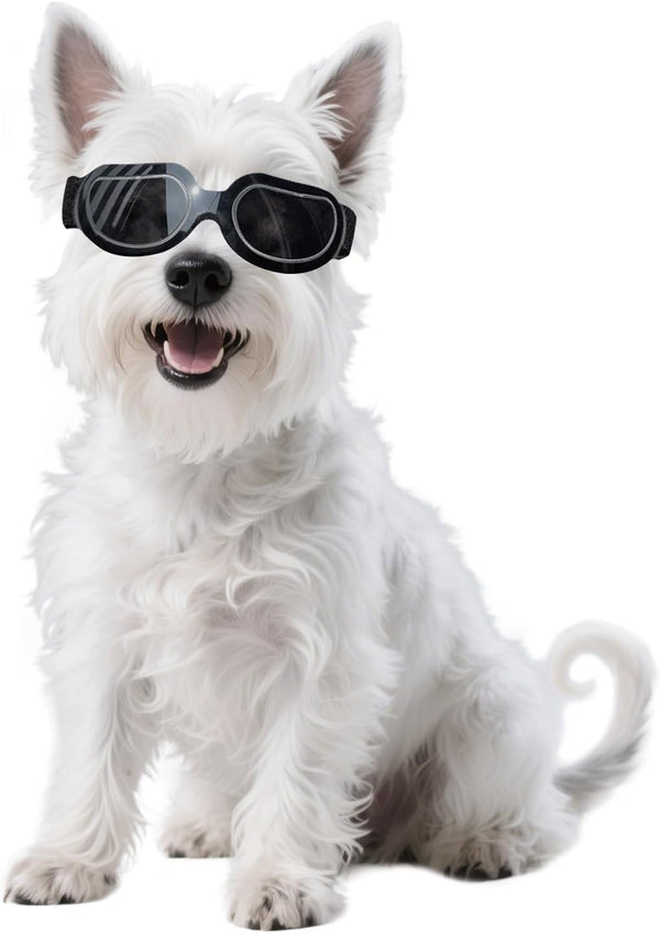 NAMSAN Dog Goggles for Small Breeds, Anti-UV Sunglasses with Elastic Straps for Eye Protection