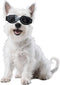 NAMSAN Dog Goggles for Small Breeds, Anti-UV Sunglasses with Elastic Straps for Eye Protection