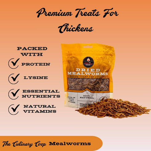 Fluker's Culinary Coop Premium Chicken Treats - Mealworms 3.5 oz, High Protein Nutritious Treat