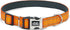 TwoEar Heavy Duty Dog Collar with Metal Buckle, Soft Neoprene Padded Breathable Nylon for Large Dogs